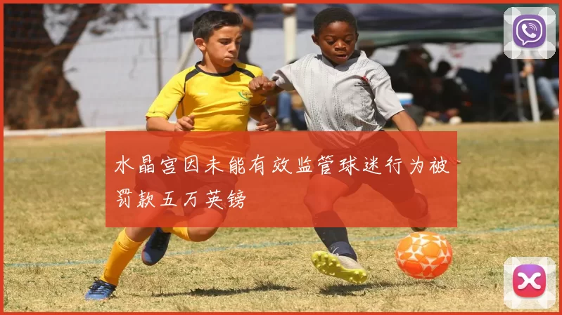 水晶宫因未能有效监管球迷行为被罚款五万英镑
