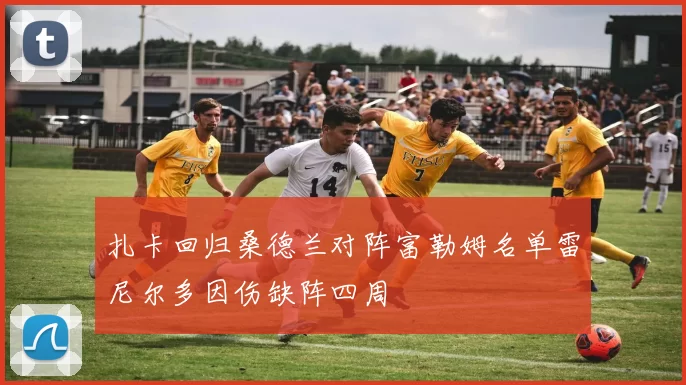 扎卡回归桑德兰对阵富勒姆名单雷尼尔多因伤缺阵四周