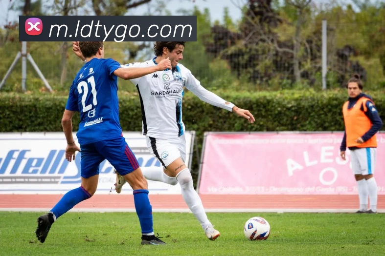 乐动体育APP 封面图